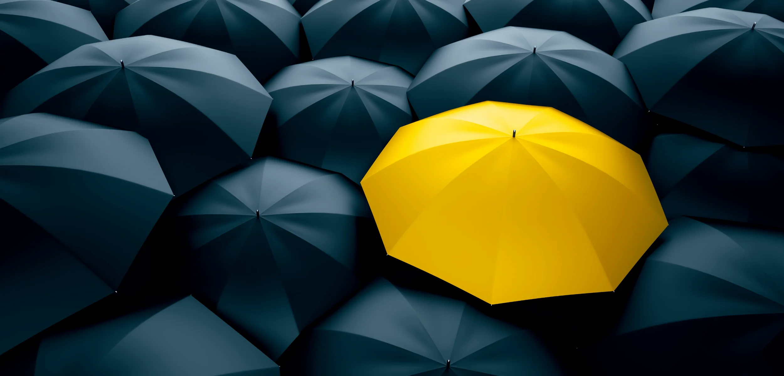 Dare to be different! - Rebus Design Yorkshire